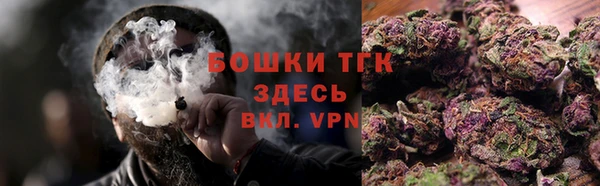 хмурый Липки