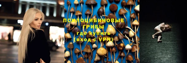гашик Магас