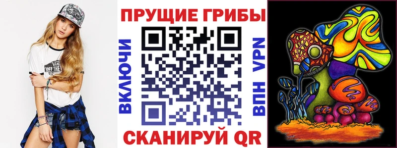 Галлюциногенные грибы Psilocybine cubensis  Чита 