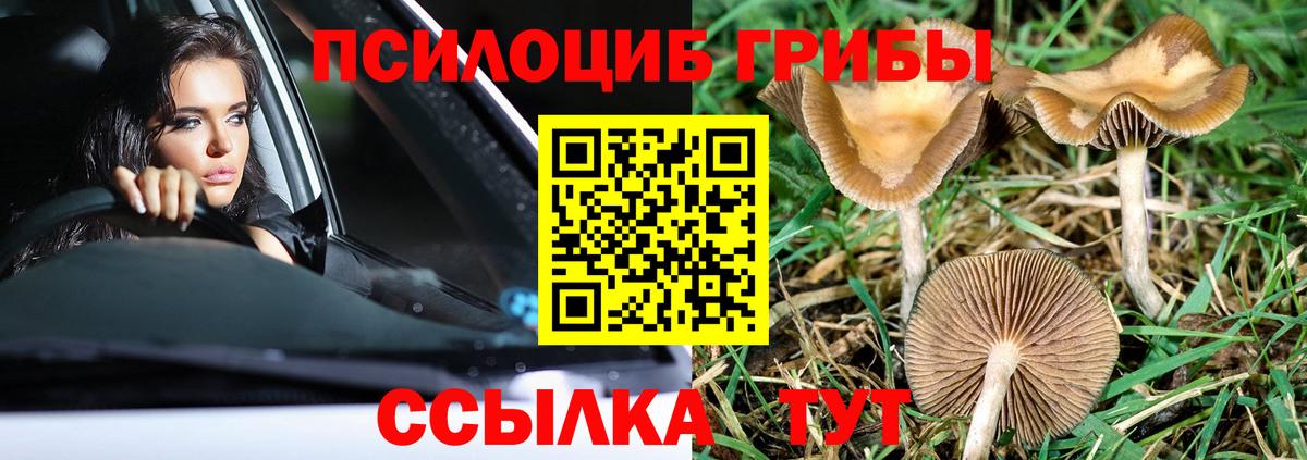 Чита  Псилоцибиновые грибы прущие грибы  магазин    Вход с VPN 